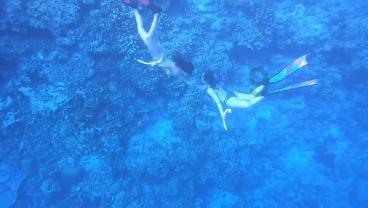 在华北地区,傅作义“华北王”的称号,可绝不是浪得虚名